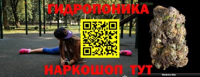 индика Будённовск
