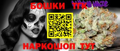 индика Будённовск