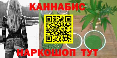 индика Будённовск