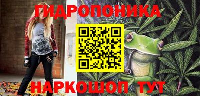 стаф Бузулук