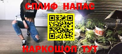 индика Будённовск