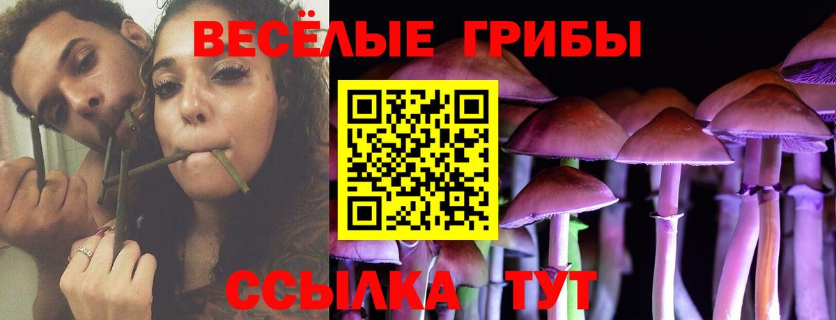 Псилоцибиновые грибы мухоморы Краснокаменск