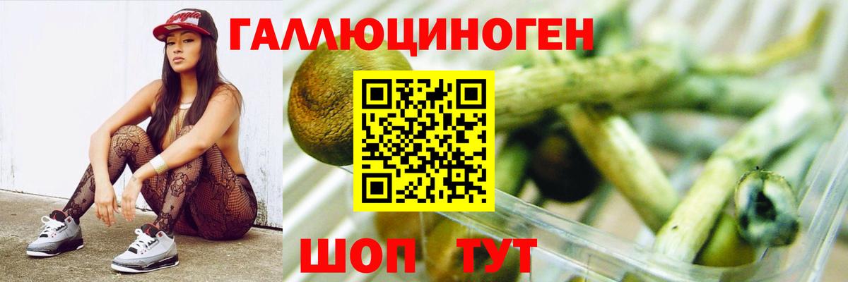 Галлюциногенные грибы Psilocybine cubensis  Вход с VPN  Краснокаменск 